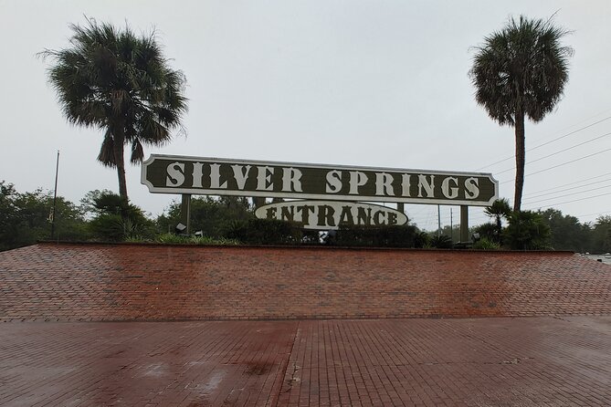 Silver Springs Manatee Kayak Tour - What to bring so your day stays easy