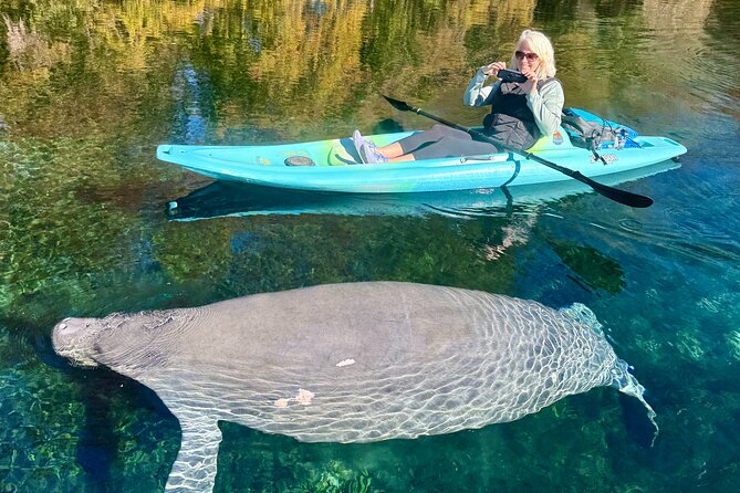 Silver Springs Premium Florida Wildlife Experience! - Entering Silver Springs by Kayak: Cypress, Moss, and Clear Water