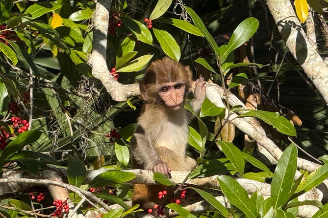 Silver Springs Premium Florida Wildlife Experience! - The Included Gear That Actually Makes a Difference
