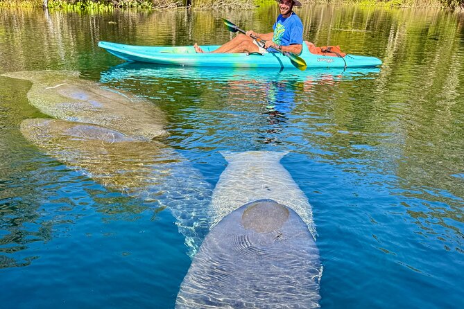 Silver Springs Premium Florida Wildlife Experience! - Your Meeting Point and How to Plan Your Arrival