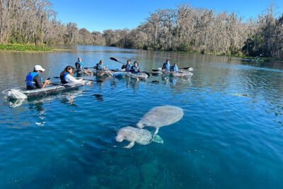 Silver Springs Self Guided Clear Kayak Rentals - Meeting at 5656 E Silver Springs Blvd: Getting Started Smoothly