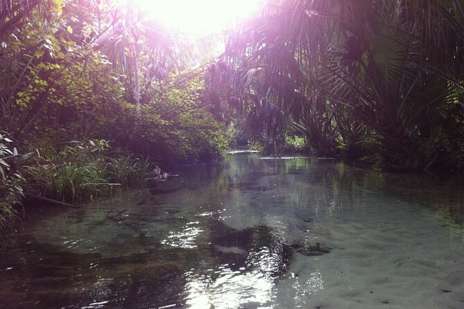 Silver Springs Self Guided Clear Kayak Rentals - Sunken Ships and Treasure Hunt Maps: Turning Clear Water Into a Game