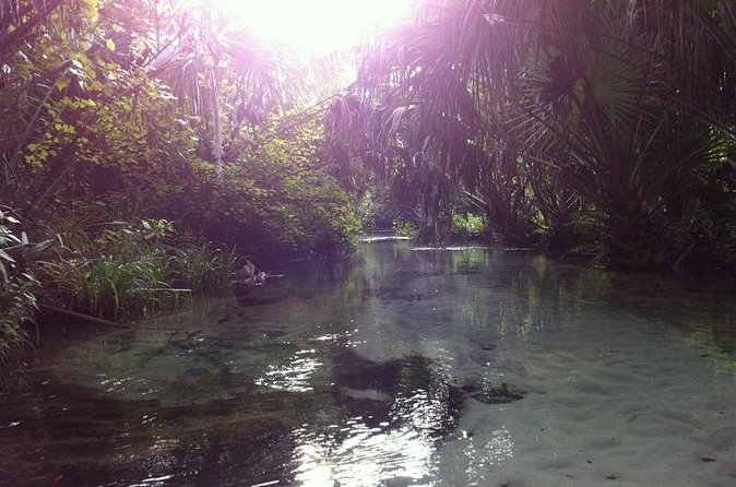 Silver Springs Self Guided Clear Kayak Rentals - The Main Spring Finish: Where Up to 550 Gallons a Day Flow Out