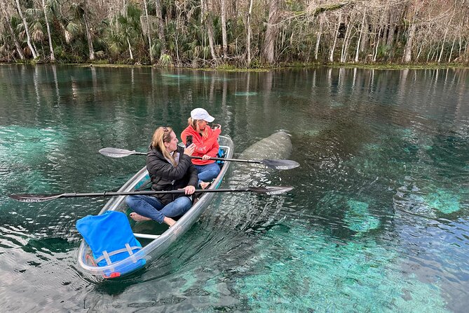 Silver Springs Self Guided Clear Kayak Rentals - Price and Value: Is $65 for Two Hours Worth It?