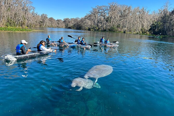 Silver Springs Self Guided Clear Kayak Rentals - Meeting at 5656 E Silver Springs Blvd: Getting Started Smoothly