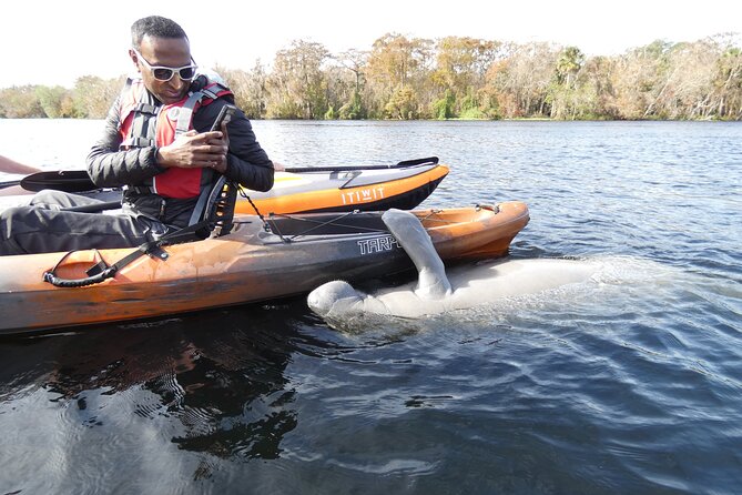 Small Group Manatee Discovery Kayak Tour near Orlando - Blue Spring State Park and the winter manatee draw