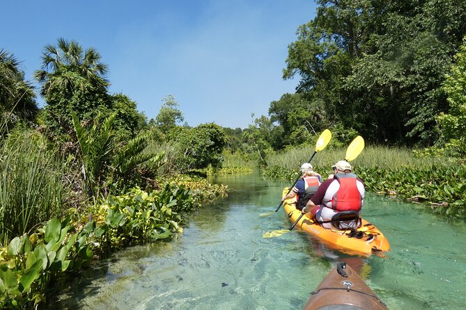 Small Group Rock Springs Run Eco Kayak Adventure - Rock Springs Run: why this Orlando kayak trip feels like old Florida