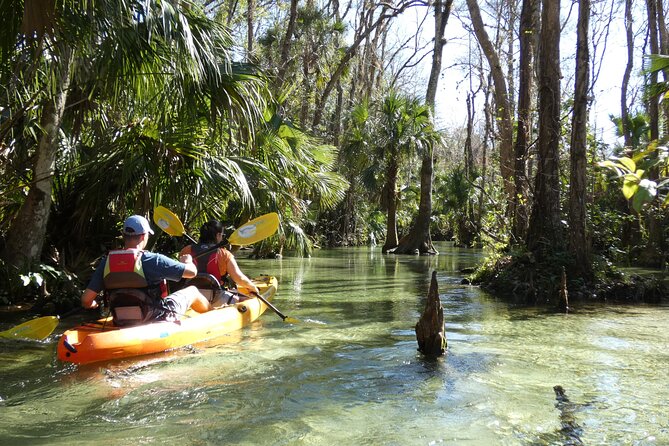 Small Group Rock Springs Run Eco Kayak Adventure - The spring swim moment: refreshing water and a chance to cool off