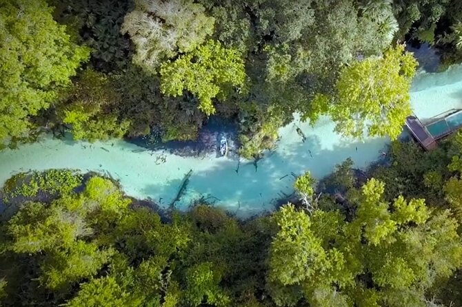 Small Group Rock Springs Run Eco Kayak Adventure - Price and value near Orlando: what $95 buys you
