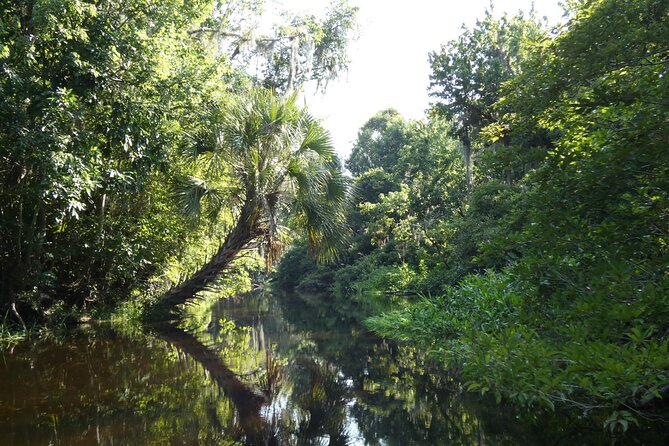 Small Group Scenic Wekiva River Kayak Tour near Orlando - Where You Meet at Katie’s Landing (and why it matters)