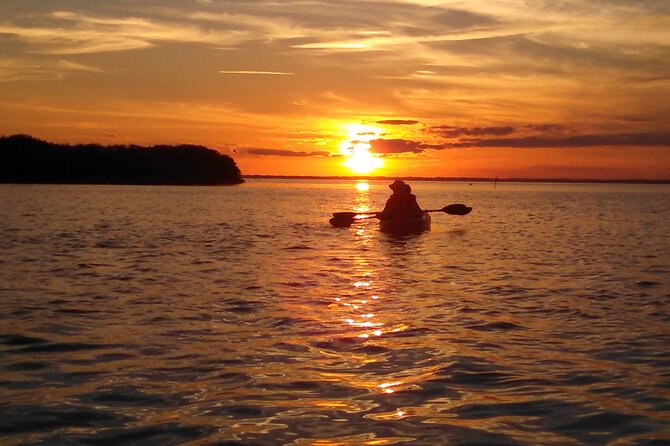 Sunset Bioluminescence Tour - Mosquito reality: plan for comfort, not just wildlife