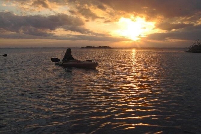 Sunset Bioluminescence Tour - The 2-hour paddle plan: birds by golden light, glow in the water