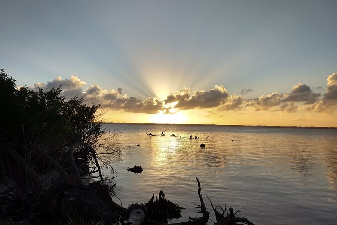 Sunset kayaking tour at Manatee Cove with Manatee & Dolphin sightings - Key highlights to clock before you go