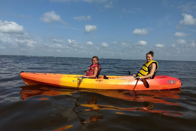 Sunset kayaking tour at Manatee Cove with Manatee & Dolphin sightings - Wildlife odds: dolphins are a strong target, manatees are hit-or-miss