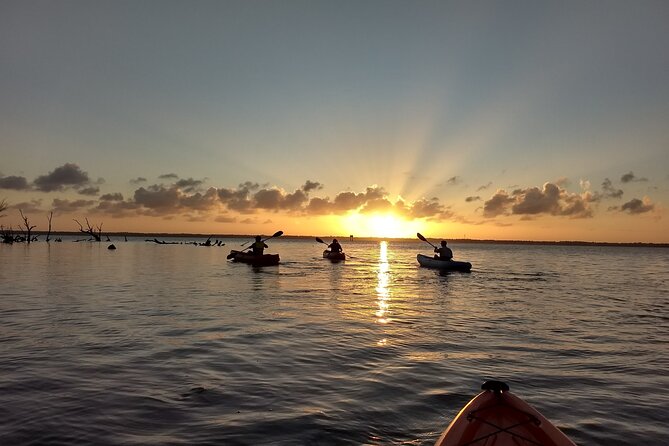 Sunset kayaking tour at Manatee Cove with Manatee & Dolphin sightings - Kayaks, life jackets, and how your guide runs the paddle