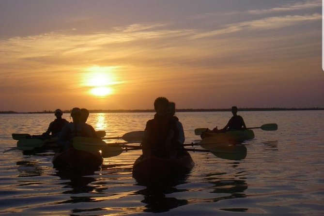 Sunset Kayaking w/ Florida Bioluminescence Combo Tour | Haulover canal - Price and value: is $95 actually fair for this night?
