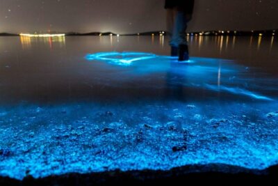 Sunset Kayaking w/ Florida Bioluminescence Combo Tour | Haulover canal - Stop 1 at Florida Adventurer Inc: check-in that keeps you from overthinking it