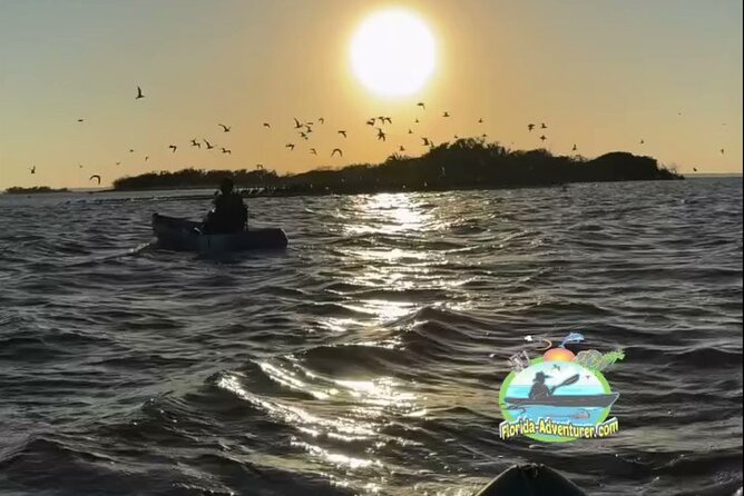 Sunset Kayaking - Wildlife Refuge (Titusville) - Key things that make this sunset kayak special