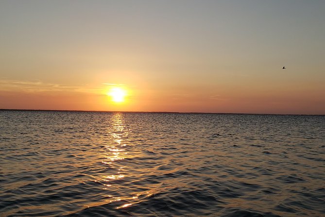 Sunset Kayaking - Wildlife Refuge (Titusville) - Wildlife spotting: manatees, dolphins, and birds with a guide who talks