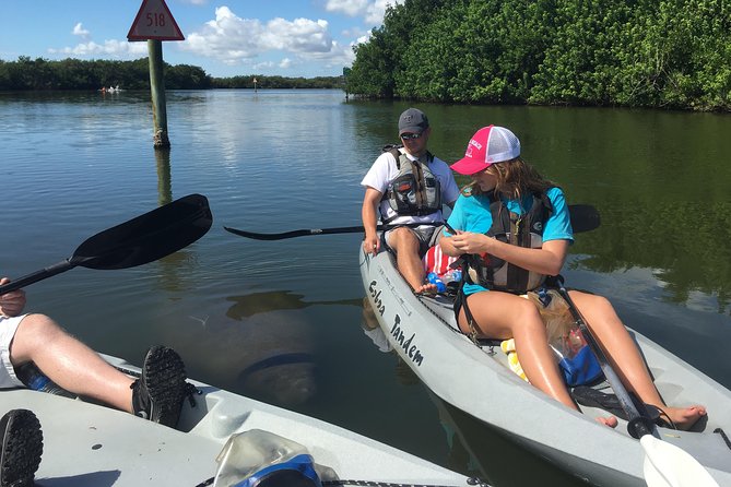 Sunset Tour Mangrove, Dolphins, Manatee #1 Rated in Cocoa Beach - Your kayak setup: tandem comfort and single-kayak limits