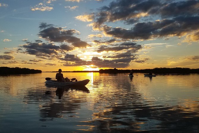 Sunset Tour Mangrove, Dolphins, Manatee #1 Rated in Cocoa Beach - The guides who make it smooth, fun, and safe