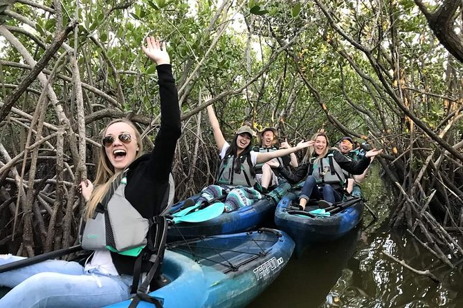 Thousand Island Mangrove Tunnel, Manatee & Dolphin Kayak Tour w/Cocoa Kayaking - Key things to know before you book