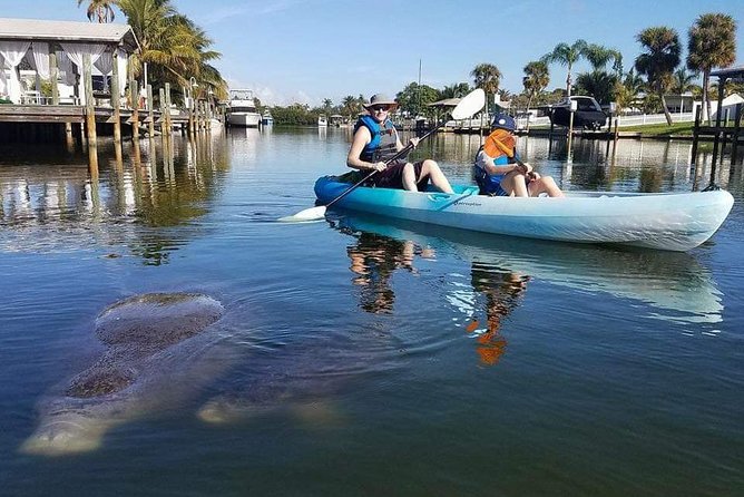 Thousand Island Mangrove Tunnel, Manatee & Dolphin Kayak Tour w/Cocoa Kayaking - Manatees, dolphins, and birds: how timing (9:00 am) and season affect your odds