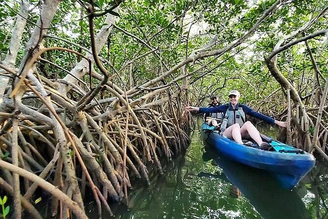 Thousand Island Mangrove Tunnel, Manatee & Dolphin Kayak Tour w/Cocoa Kayaking - Price and value of the $69.08 guided paddle: what you get, what you supply