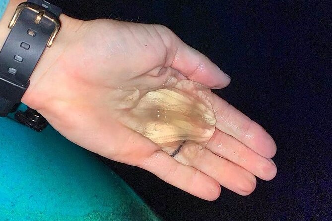 Thousand Islands Bioluminescent Kayak Tour with Cocoa Kayaking! - Getting There and Getting Ready at Cocoa Beach