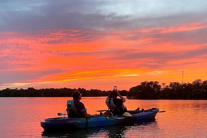 Thousand Islands Mangrove Tunnel & Bio Comb Jelly Sunset Tour - Key Things You’ll Notice on This Cocoa Beach Night Paddle