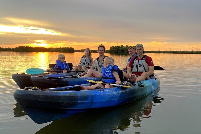 Thousand Islands Mangrove Tunnel & Bio Comb Jelly Sunset Tour - Through the Mangrove Tunnels: Where the Scenery Gets Close