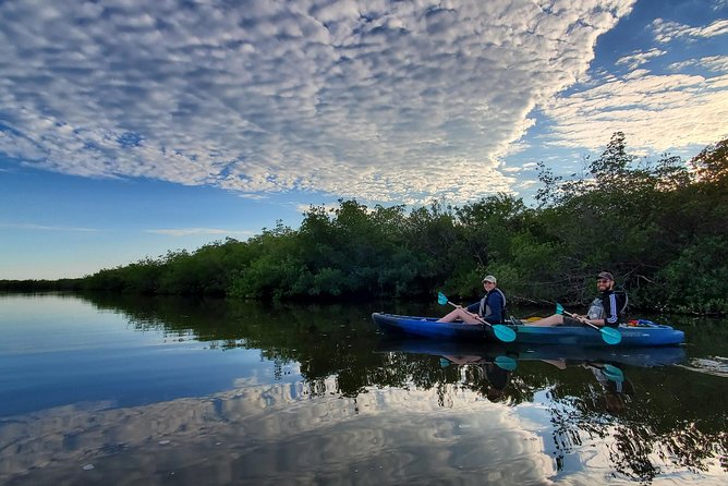 Thousand Islands Mangrove Tunnel Kayak Tour with Cocoa Kayaking! - Your 2 Hours 30 Minutes on the Water: The Flow You Can Expect