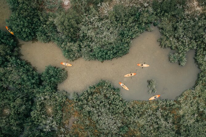 Thousand Islands Mangrove Tunnel Kayak Tour with Cocoa Kayaking! - Guides Make or Break the Trip (And Here, They Matter)