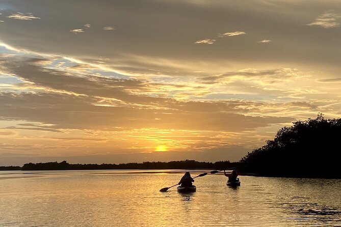 Thousand Islands Mangrove Tunnel Sunset Kayak Tour with Cocoa Kayaking! - Sliding into the Thousand Islands: open-water views before the tunnels