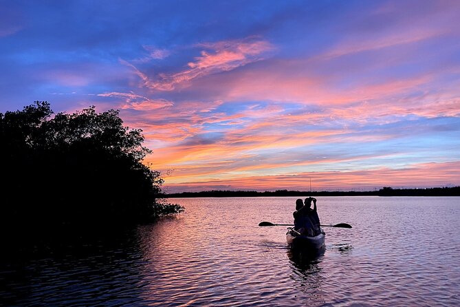 Thousand Islands Mangrove Tunnel Sunset Kayak Tour with Cocoa Kayaking! - Wildlife focus without the hype: manatees, dolphins, and conservation talk