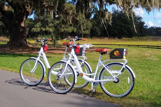 Village Bicycle Rental Free Delivery in The Villages Florida - Key Points at a Glance