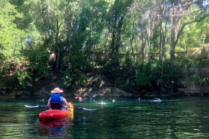 Wekiva River Guided Kayak Tour - Key things that make this Wekiva kayak tour work