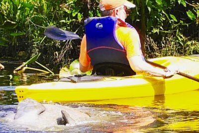 Wekiva River Guided Kayak Tour - Lunch on the river: what’s included and how to plan for food needs