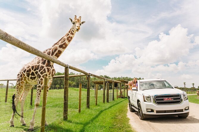 Wild Florida Drive-Thru Safari and Gator Park Admission - Price and what $35 really buys