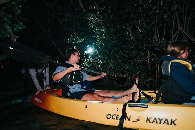 Wildlife Refuge Bioluminescent Kayak or Paddleboard Tour! - Wildlife Possibilities: Comb Jellies, Fish in the Glow, and the Joy of Not Knowing