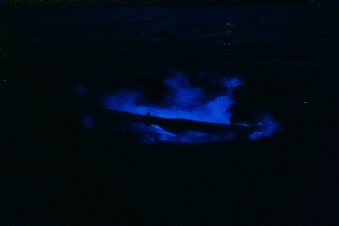 Wildlife Refuge Bioluminescent Kayak or Paddleboard Tour! - Timing Notes: Summer-Only, Seasonal Glow, and Planning Around Conditions