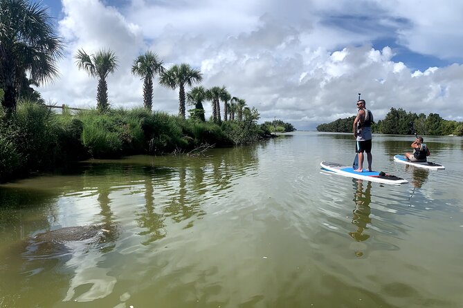 Wildlife Refuge Dolphin, Manatee & Mangrove Kayak or Paddleboarding Tour! - Key Things You’ll Notice on This Sunset Paddle