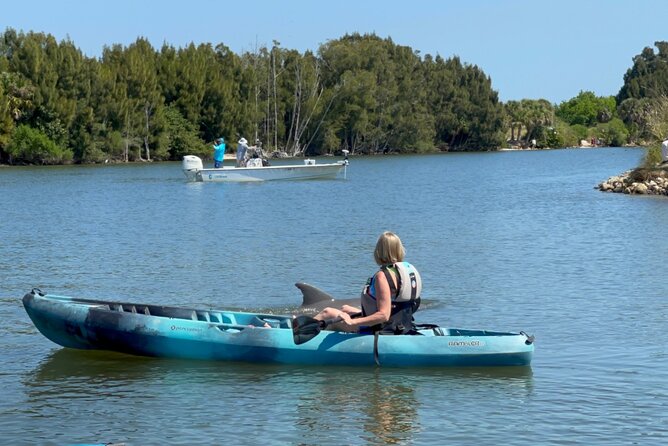 Wildlife Refuge Dolphin, Manatee & Mangrove Kayak or Paddleboarding Tour! - Wildlife Spotting: Dolphins, Manatees, Birds, and What You Can Actually Expect