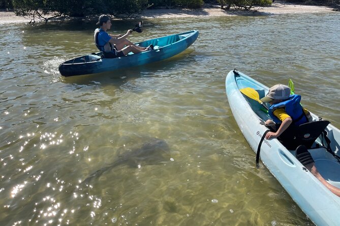 Wildlife Refuge Dolphin, Manatee & Mangrove Kayak or Paddleboarding Tour! - Gear and Comfort: Lifejackets, Dry Bags, and What to Wear