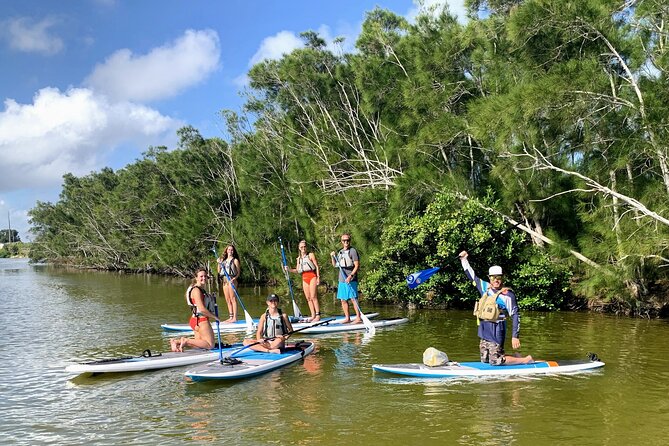 Wildlife Refuge Dolphin, Manatee & Mangrove Kayak or Paddleboarding Tour! - Price and Value: Is $50 Worth a Sunset Wildlife Paddle?