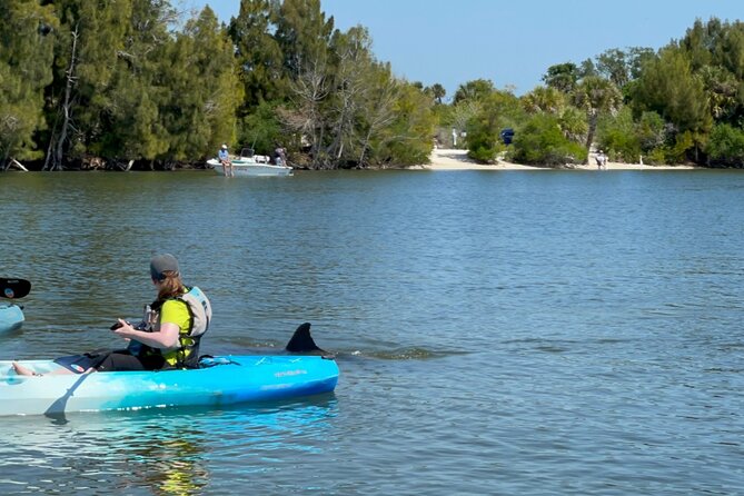 Wildlife Refuge Dolphin, Manatee & Mangrove Kayak or Paddleboarding Tour! - Best Season for Manatees: March to August