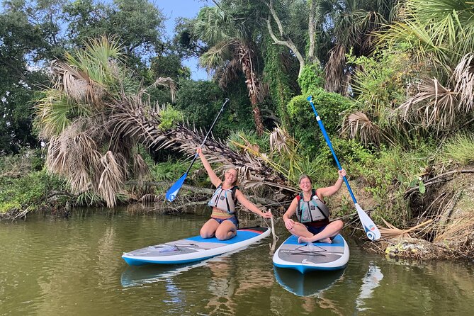 Wildlife Refuge Dolphin, Manatee & Mangrove Kayak or Paddleboarding Tour! - Who This Tour Suits (And Who Might Want Another Option)
