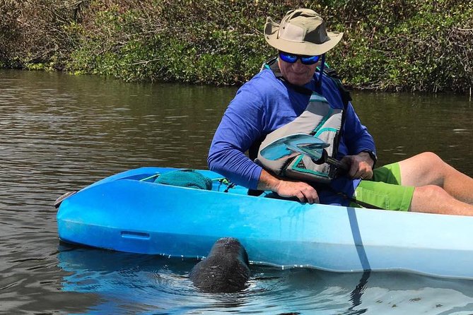 Wildlife Refuge Manatee, Dolphin & Mangrove Kayak or Paddleboarding Tour! - What to bring (and what not to): the “so you’re comfortable” list