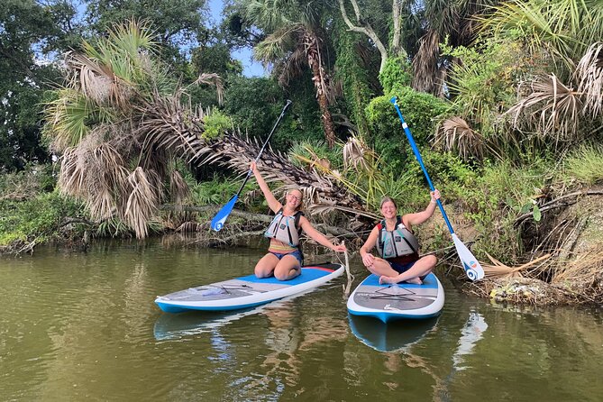 Wildlife Refuge Manatee, Dolphin & Mangrove Kayak or Paddleboarding Tour! - Indian River Lagoon and Mosquito Lagoon: what the paddling is like