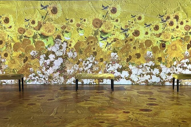 Wizard of OZ Museum tour - The light-and-screen rooms: Oz scenes plus Van Gogh and space visuals